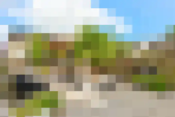 Watermunt 3 Velserbroek thumbnail 44