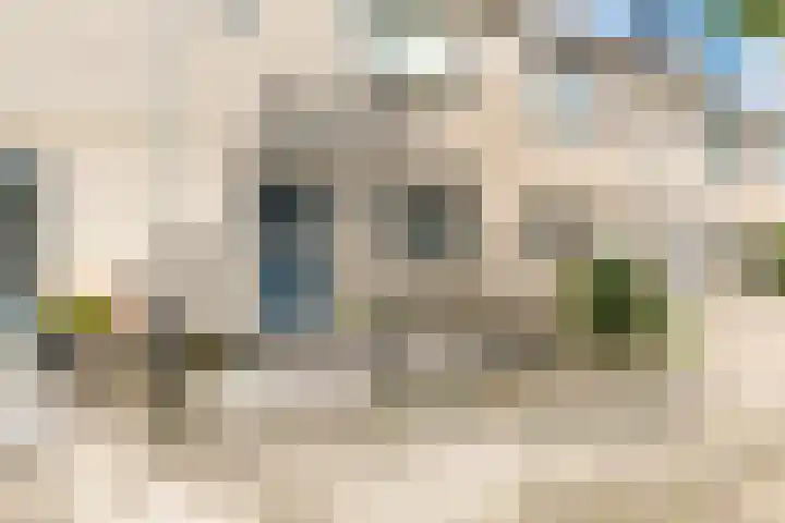 Watermunt 3 Velserbroek thumbnail 8