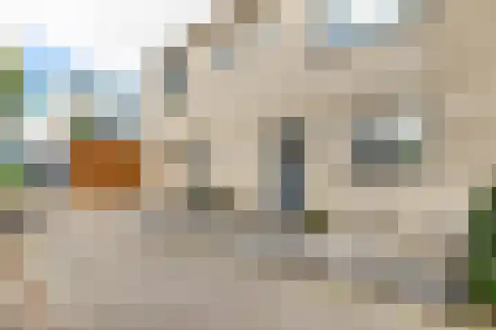 Watermunt 3 Velserbroek thumbnail 9