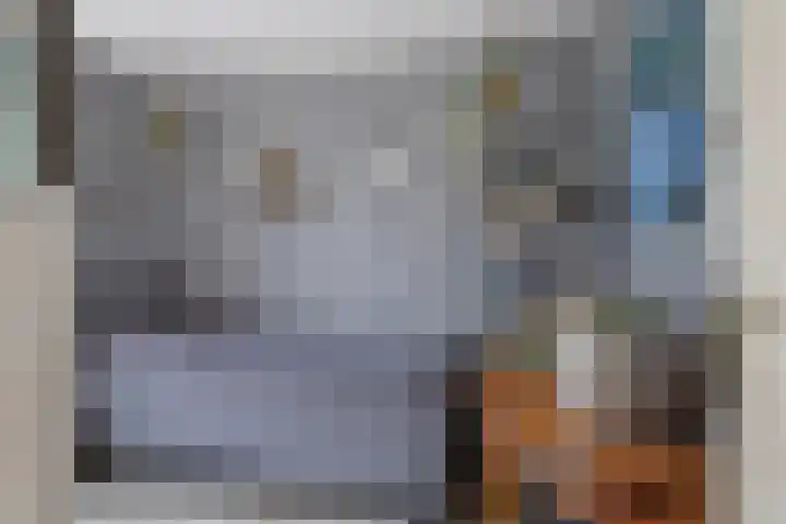 Watermunt 31 Streefkerk thumbnail 18