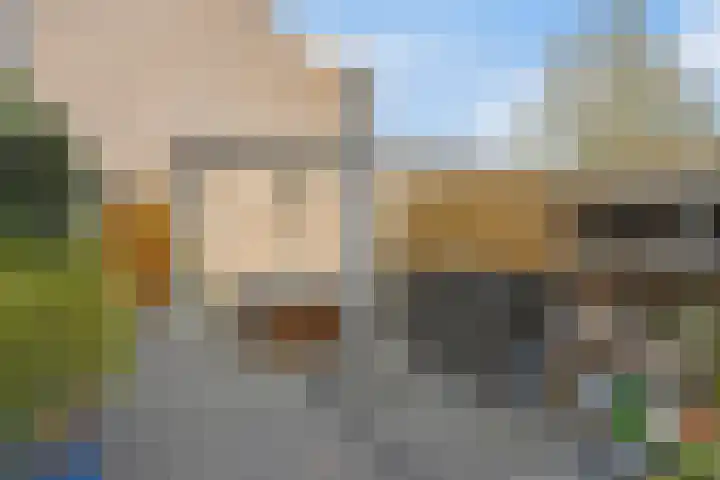 Watermunt 31 Streefkerk thumbnail 29