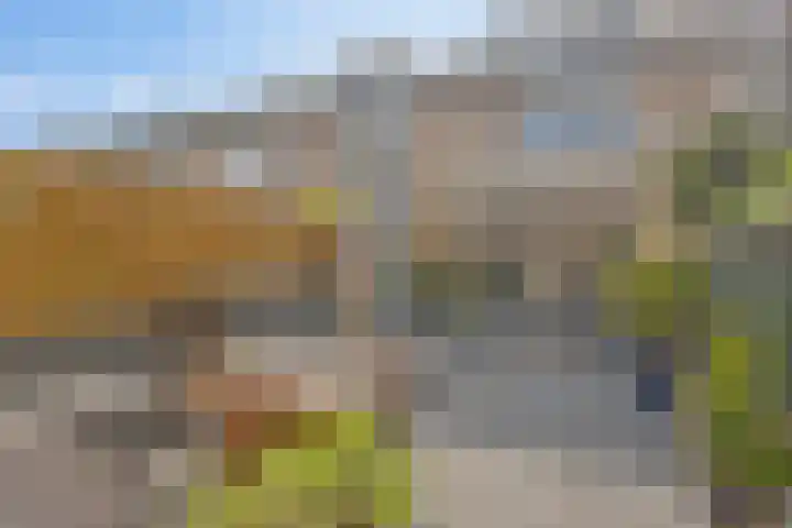 Watermunt 31 Streefkerk thumbnail 31