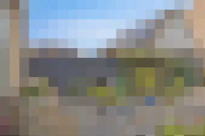 Watermunt 31 Streefkerk thumbnail 33