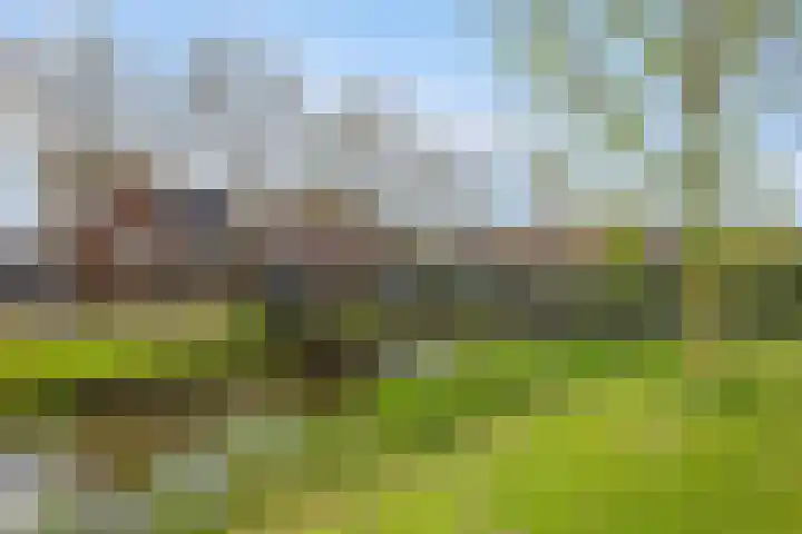 Watermunt 31 Streefkerk thumbnail 34