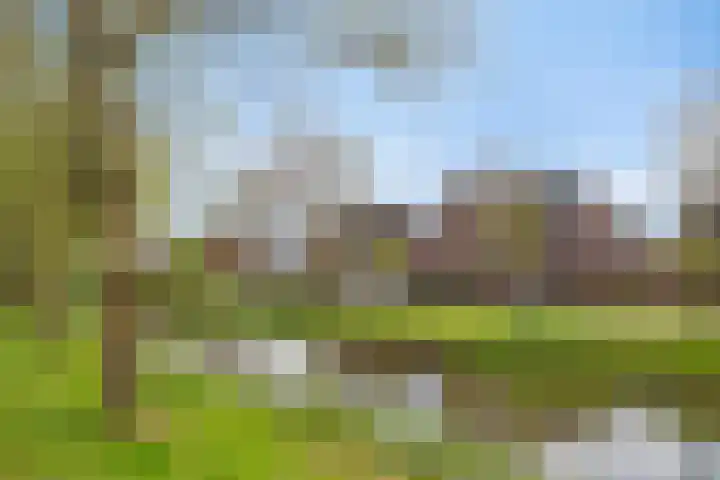 Watermunt 31 Streefkerk thumbnail 35