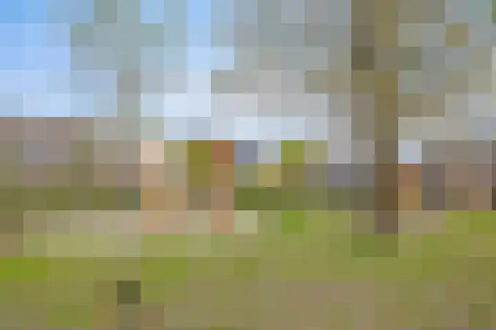 Watermunt 31 Streefkerk thumbnail 36