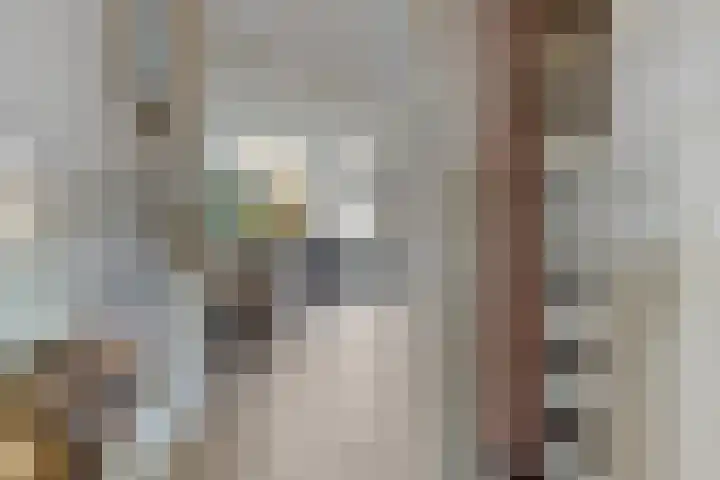Watermunt 31 Streefkerk thumbnail 4