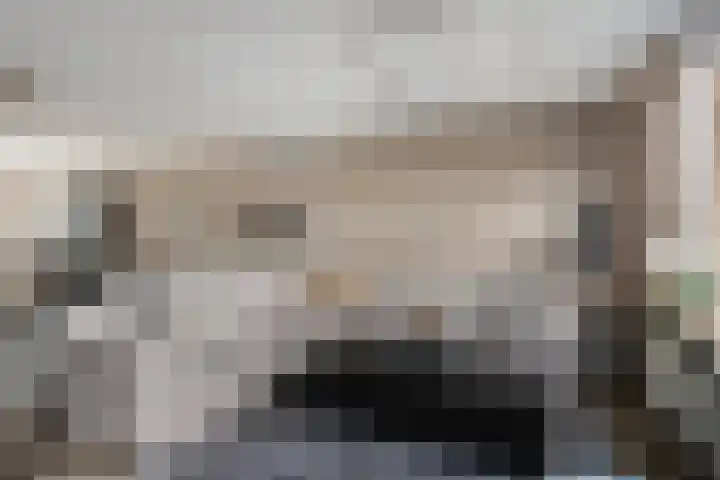 Watermunt 31 Streefkerk thumbnail 8