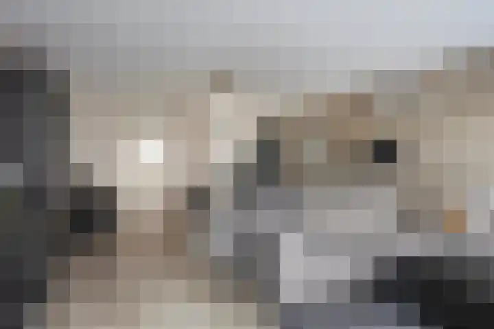 Watermunt 31 Streefkerk thumbnail 9