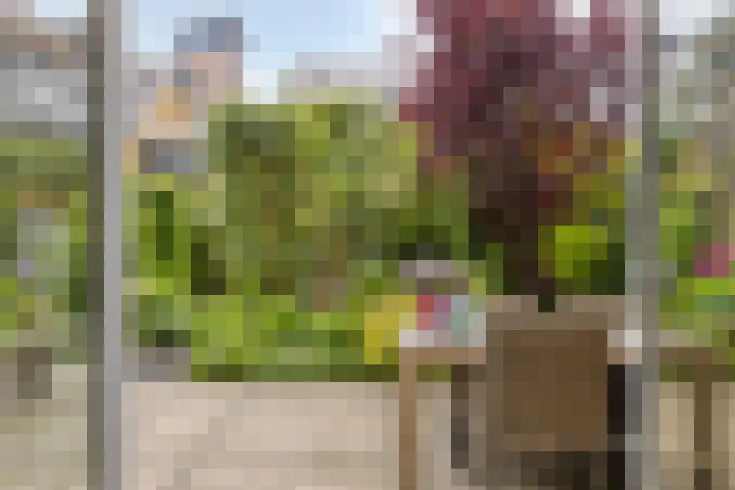 Watermunt 33 Hendrik-Ido-Ambacht thumbnail 14
