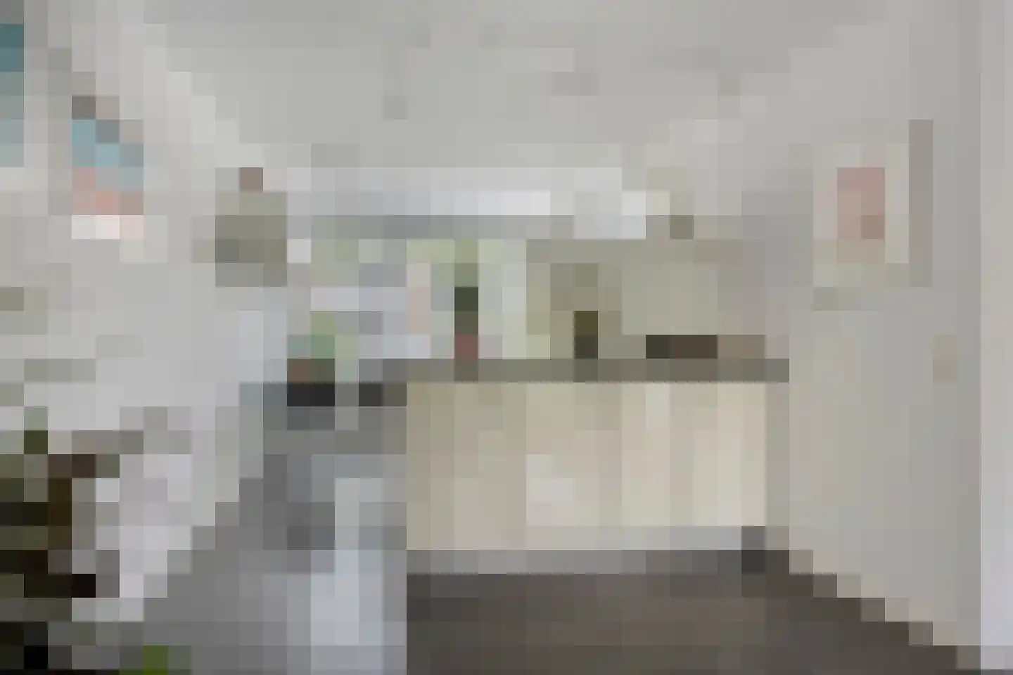 Watermunt 33 Hendrik-Ido-Ambacht thumbnail 20