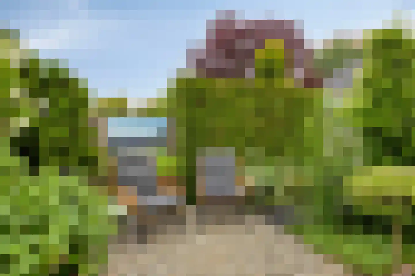 Watermunt 33 Hendrik-Ido-Ambacht thumbnail 47