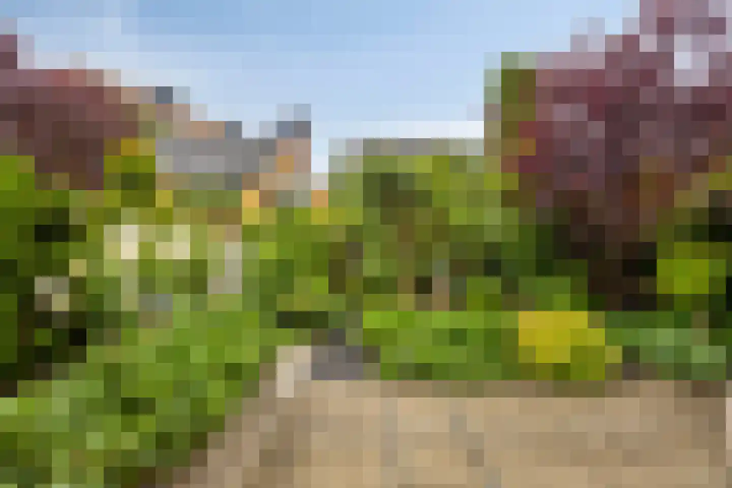 Watermunt 33 Hendrik-Ido-Ambacht thumbnail 50