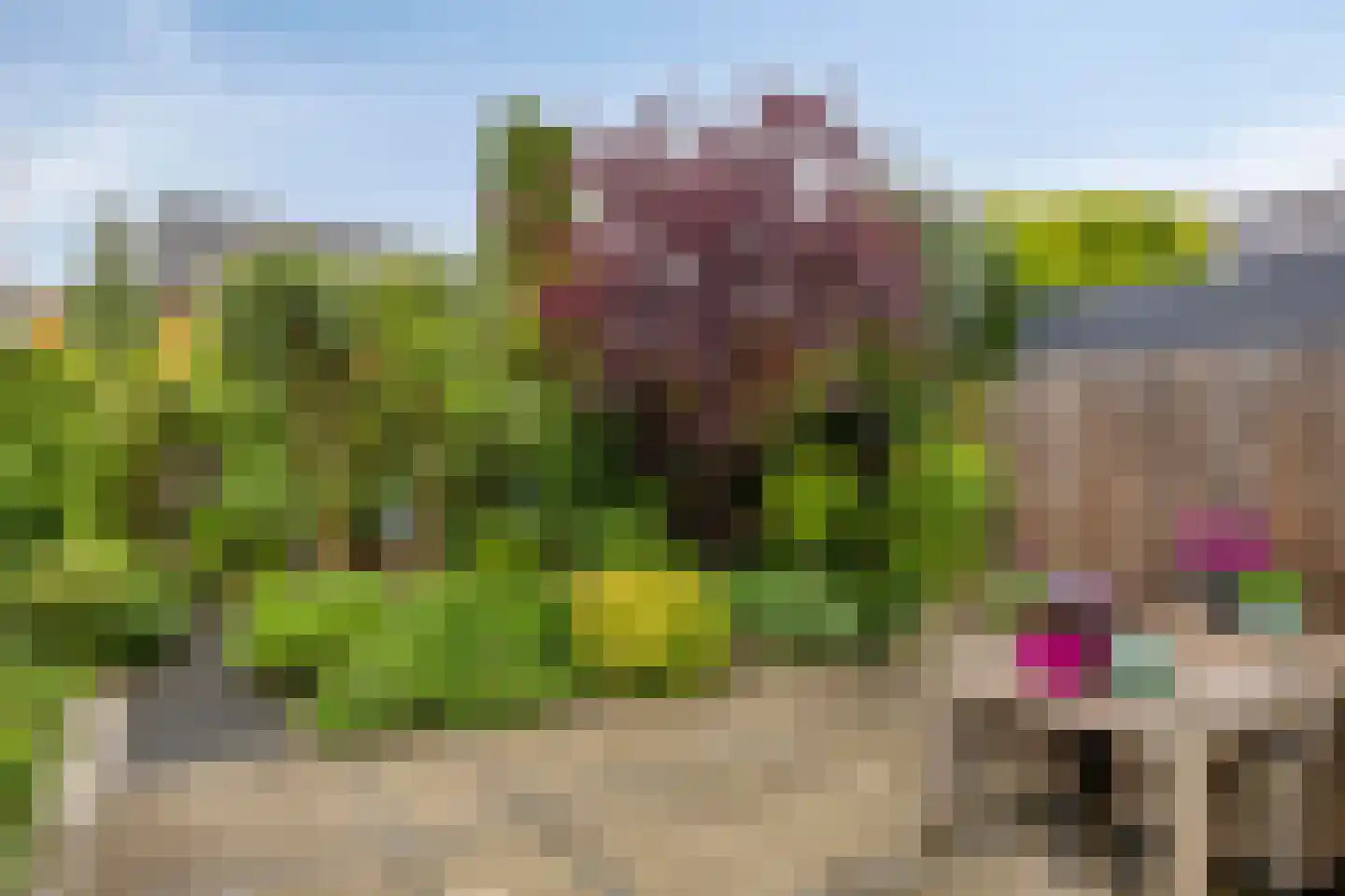 Watermunt 33 Hendrik-Ido-Ambacht thumbnail 51