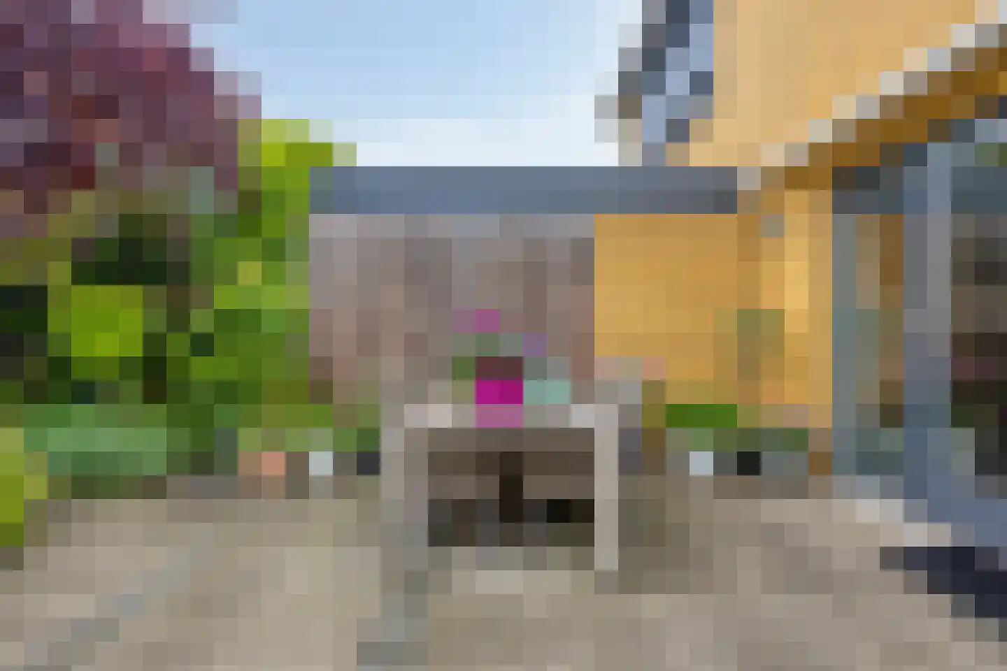 Watermunt 33 Hendrik-Ido-Ambacht thumbnail 52