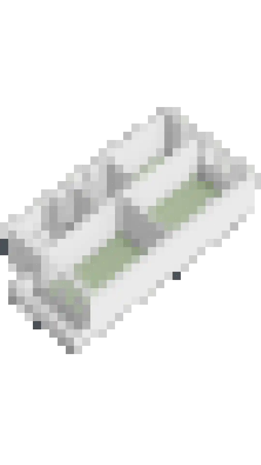 Watermunt 33 Hendrik-Ido-Ambacht thumbnail 63