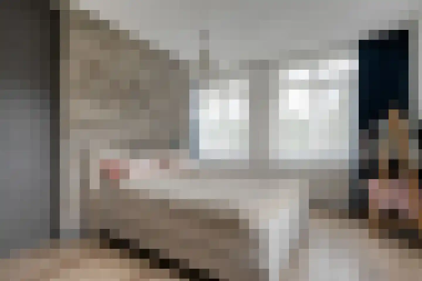Watermunt 38 Meppel thumbnail 26