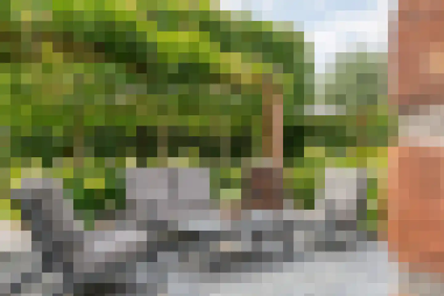 Watermunt 38 Meppel thumbnail 47