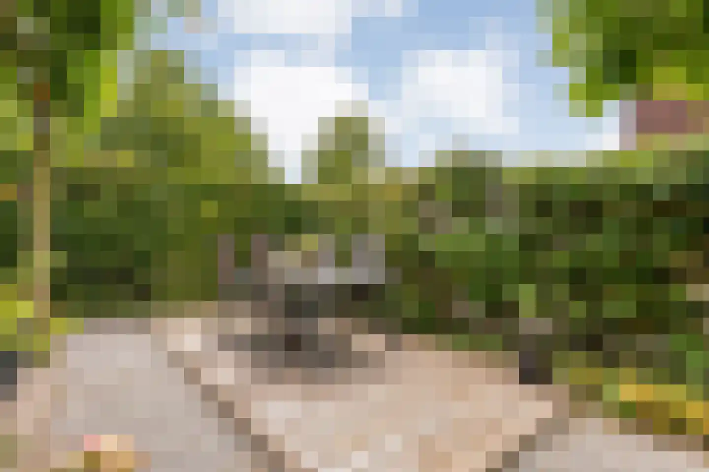 Watermunt 38 Meppel thumbnail 49