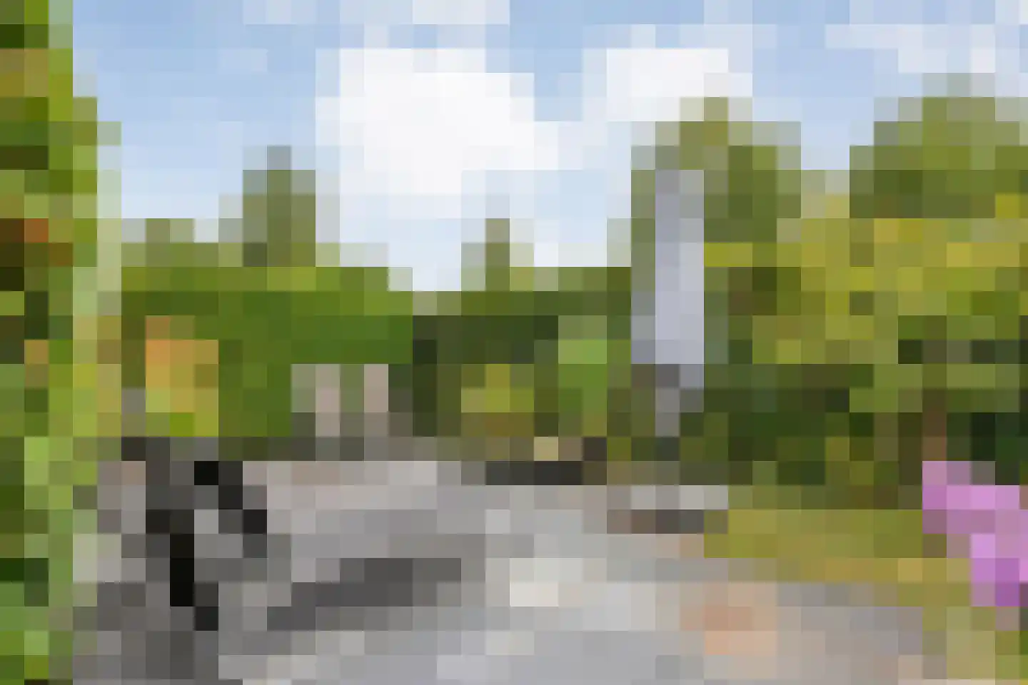 Watermunt 38 Meppel thumbnail 50