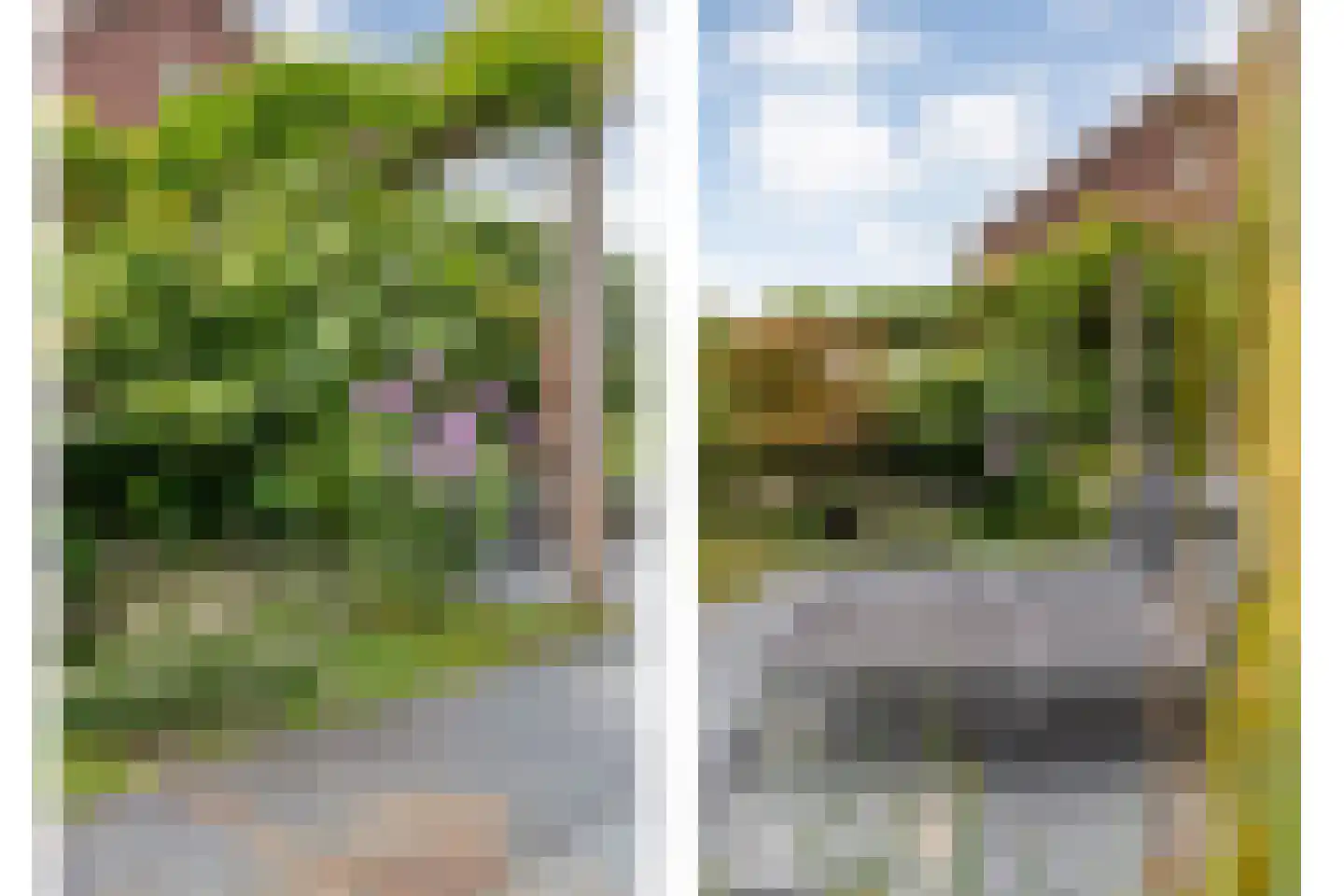 Watermunt 38 Meppel thumbnail 53