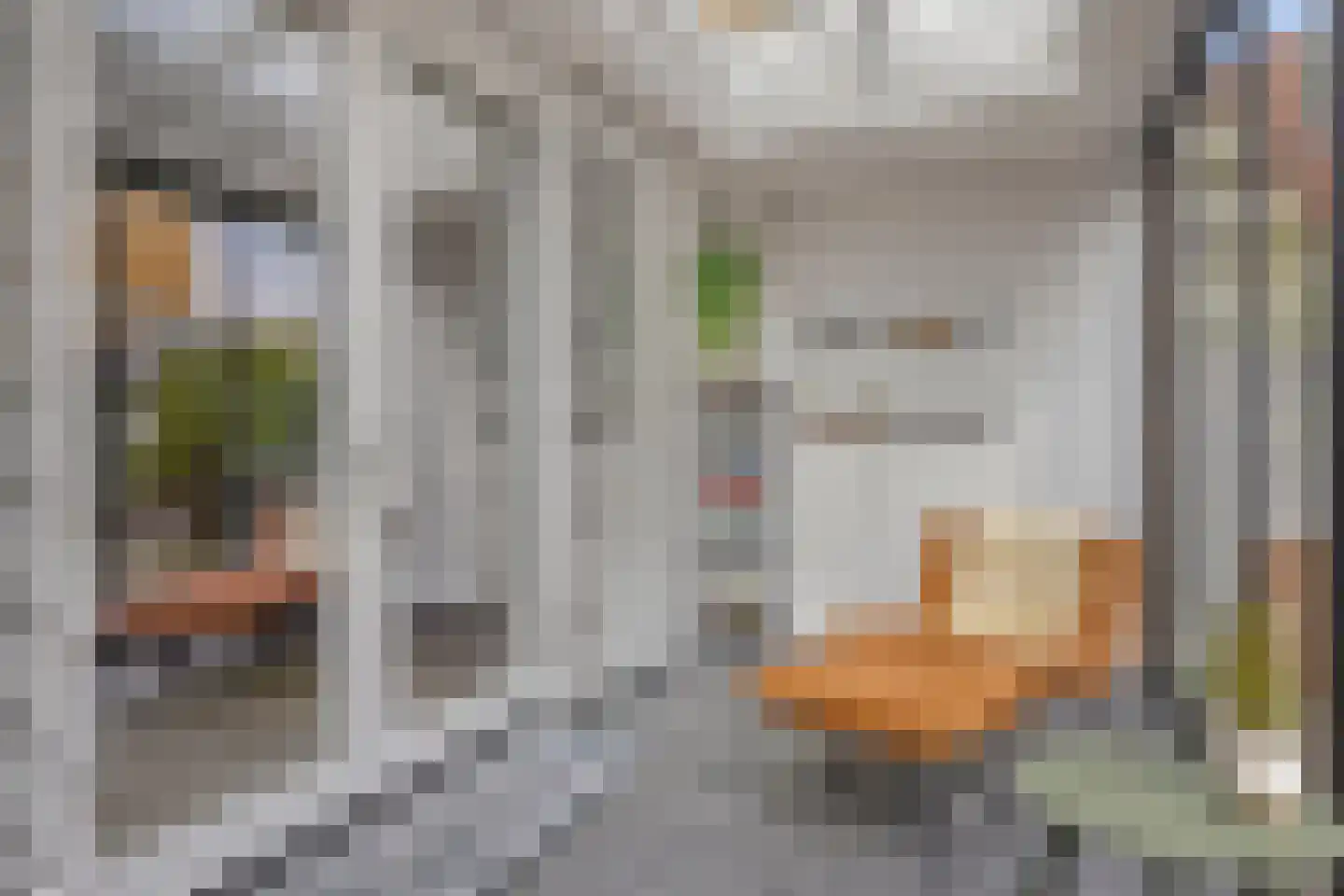 Watermunt 39 Hendrik-Ido-Ambacht thumbnail 12