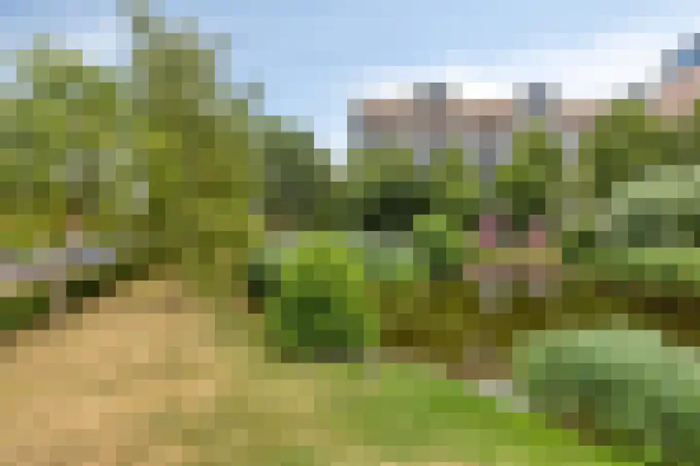 Watermunt 39 Hendrik-Ido-Ambacht thumbnail 41