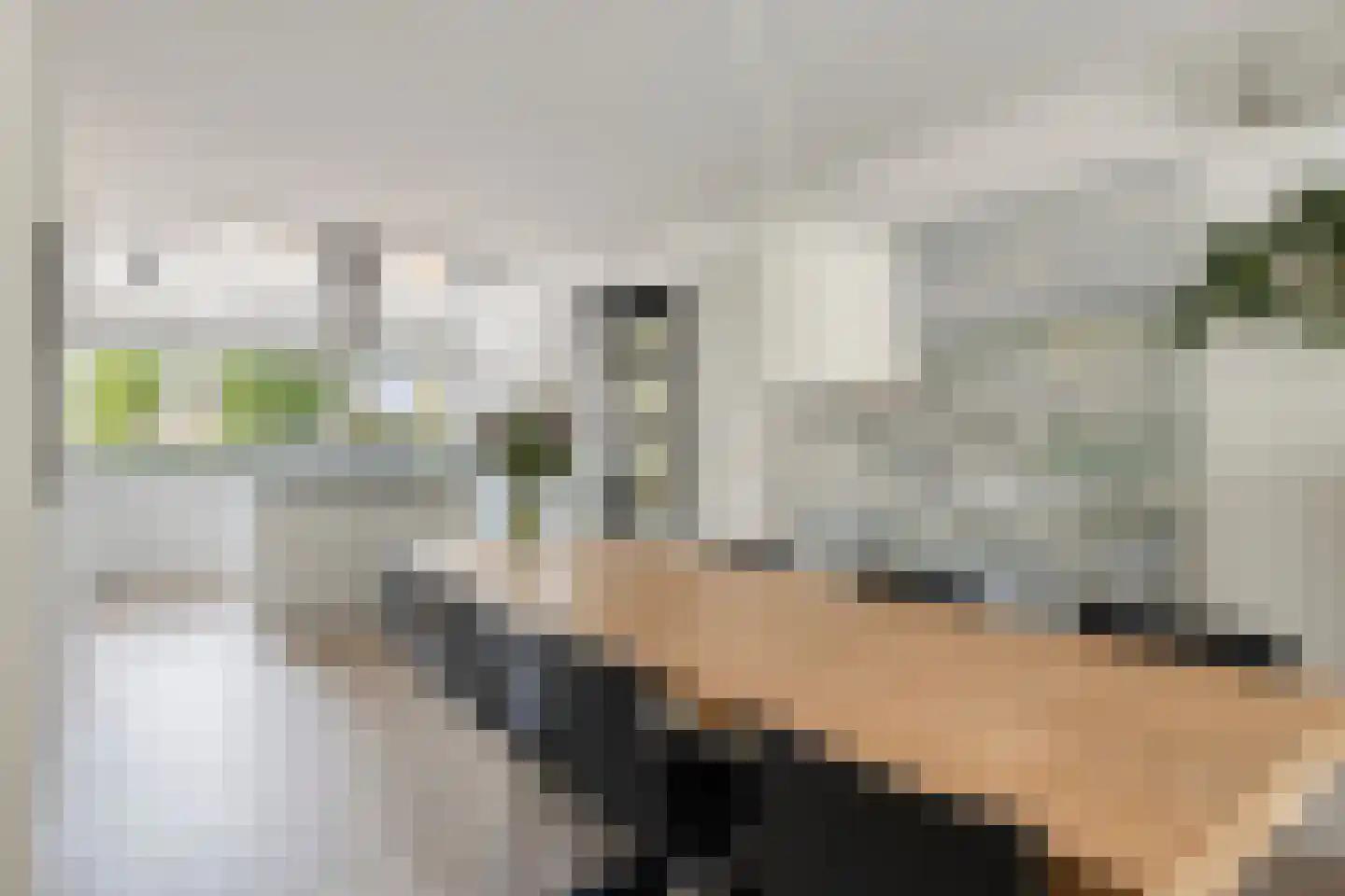Watermunt 39 Hendrik-Ido-Ambacht thumbnail 8