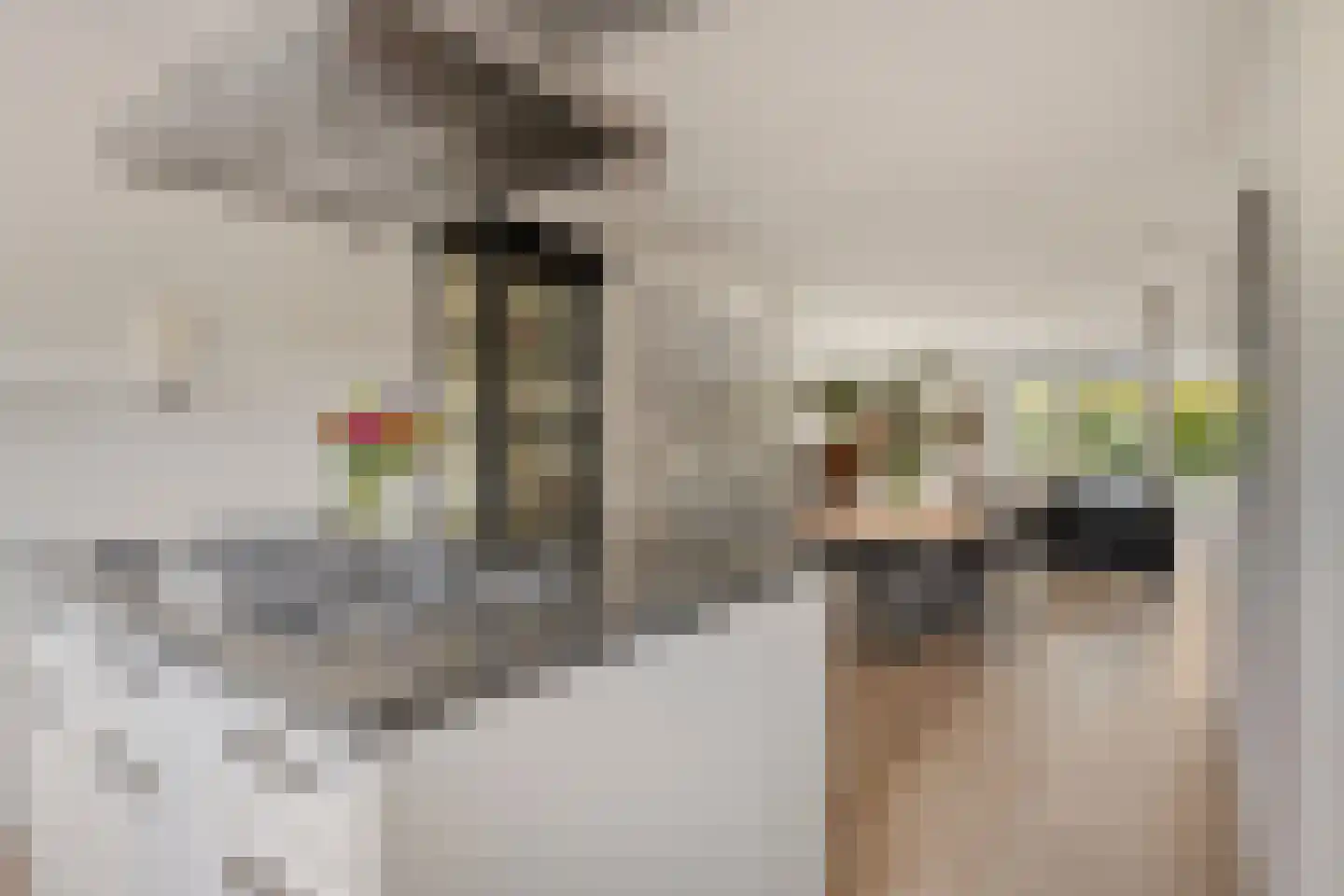 Watermunt 39 Hendrik-Ido-Ambacht thumbnail 9