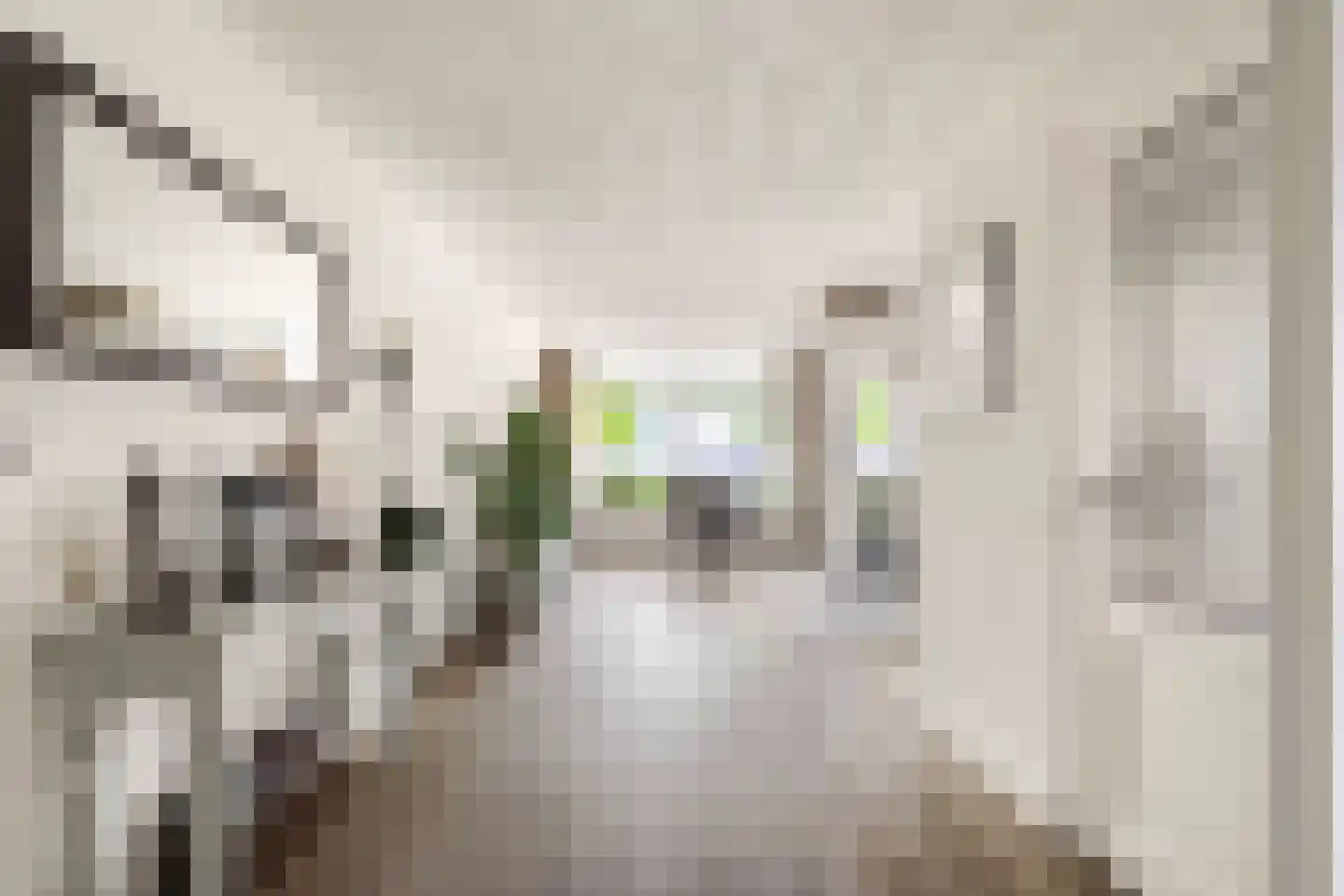 Watermunt 4 Abbekerk thumbnail 12