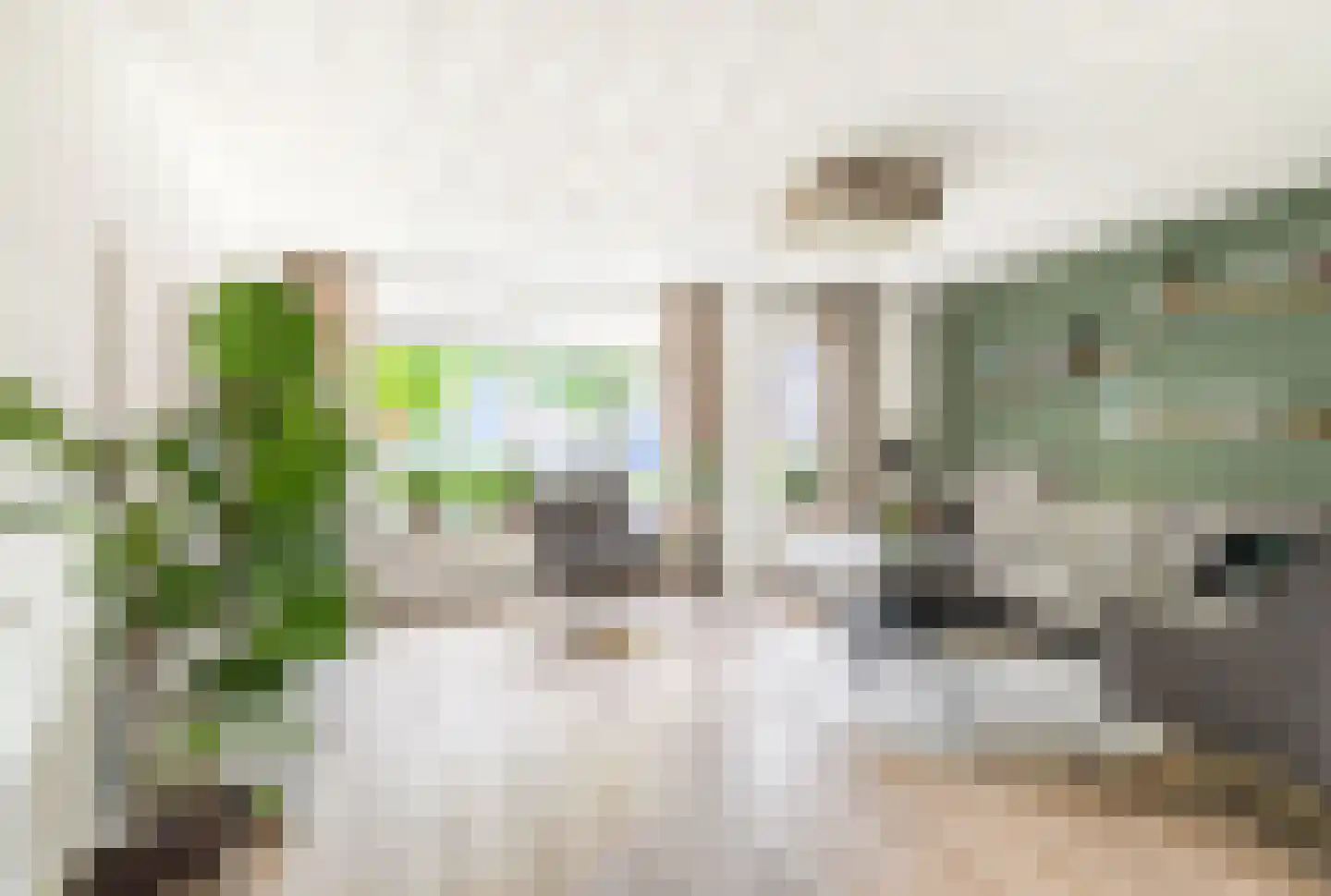 Watermunt 4 Abbekerk thumbnail 13