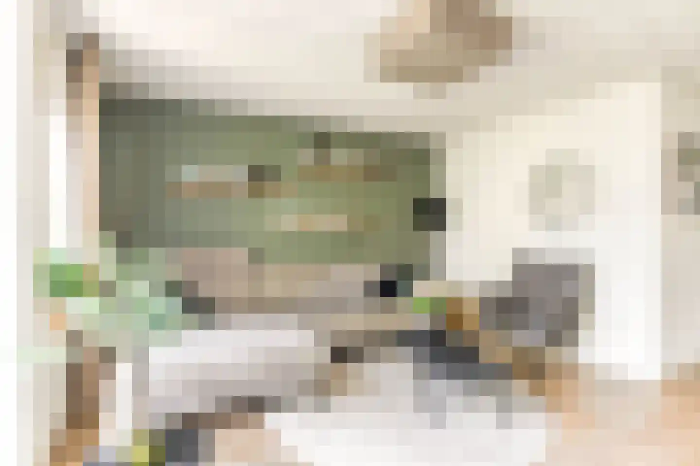 Watermunt 4 Abbekerk thumbnail 14