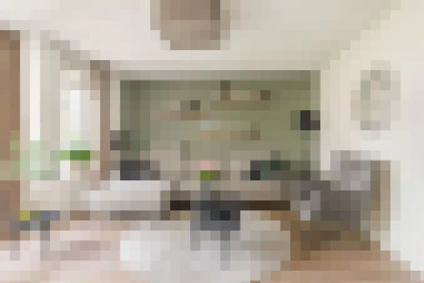 Watermunt 4 Abbekerk thumbnail 15
