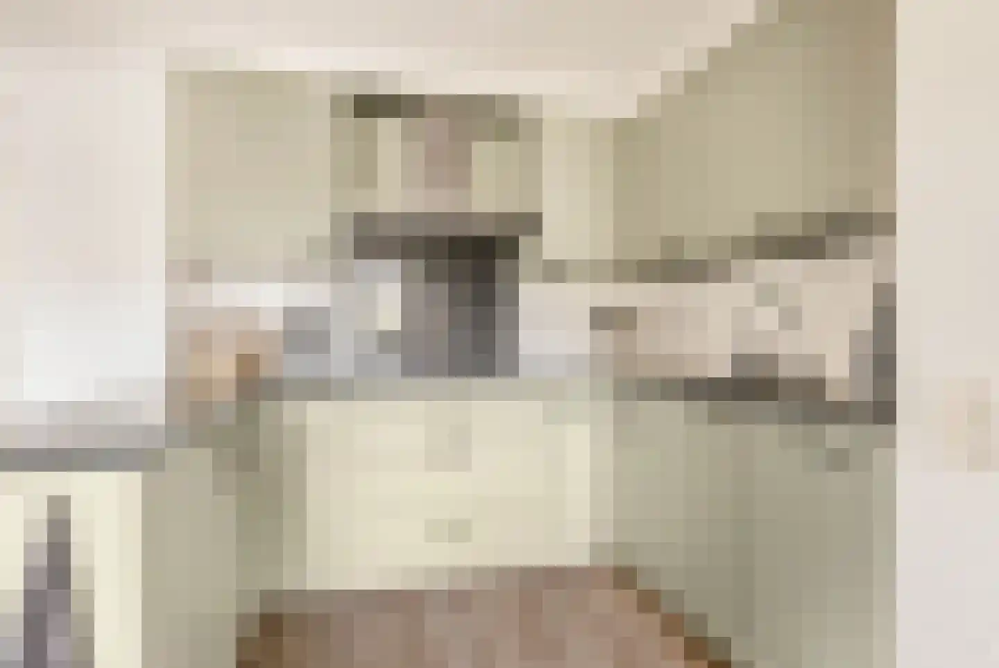 Watermunt 4 Abbekerk thumbnail 22