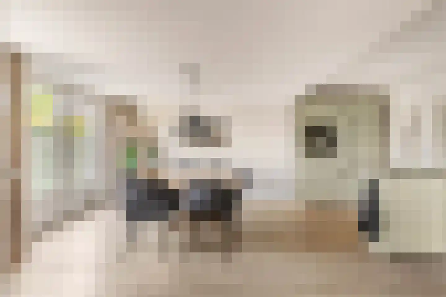 Watermunt 4 Abbekerk thumbnail 24