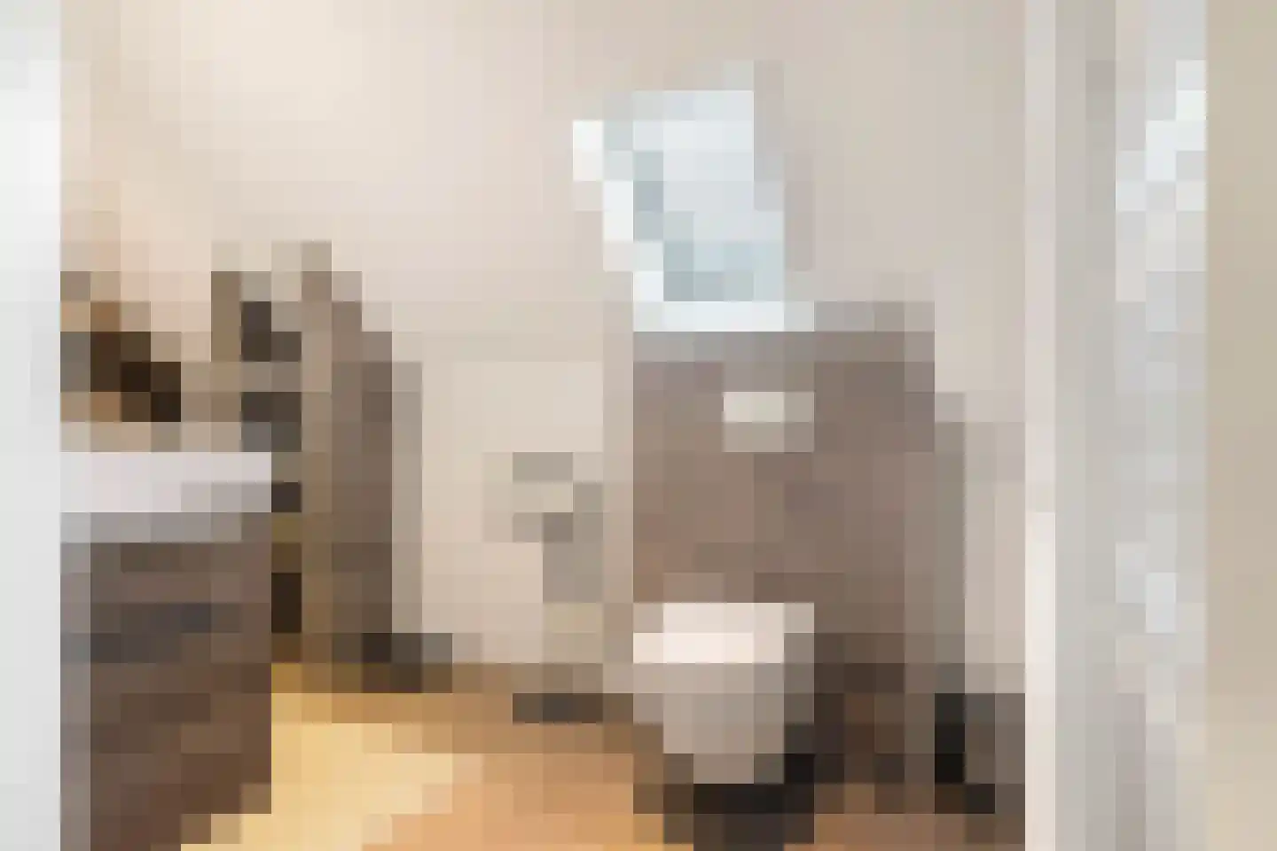 Watermunt 4 Abbekerk thumbnail 32