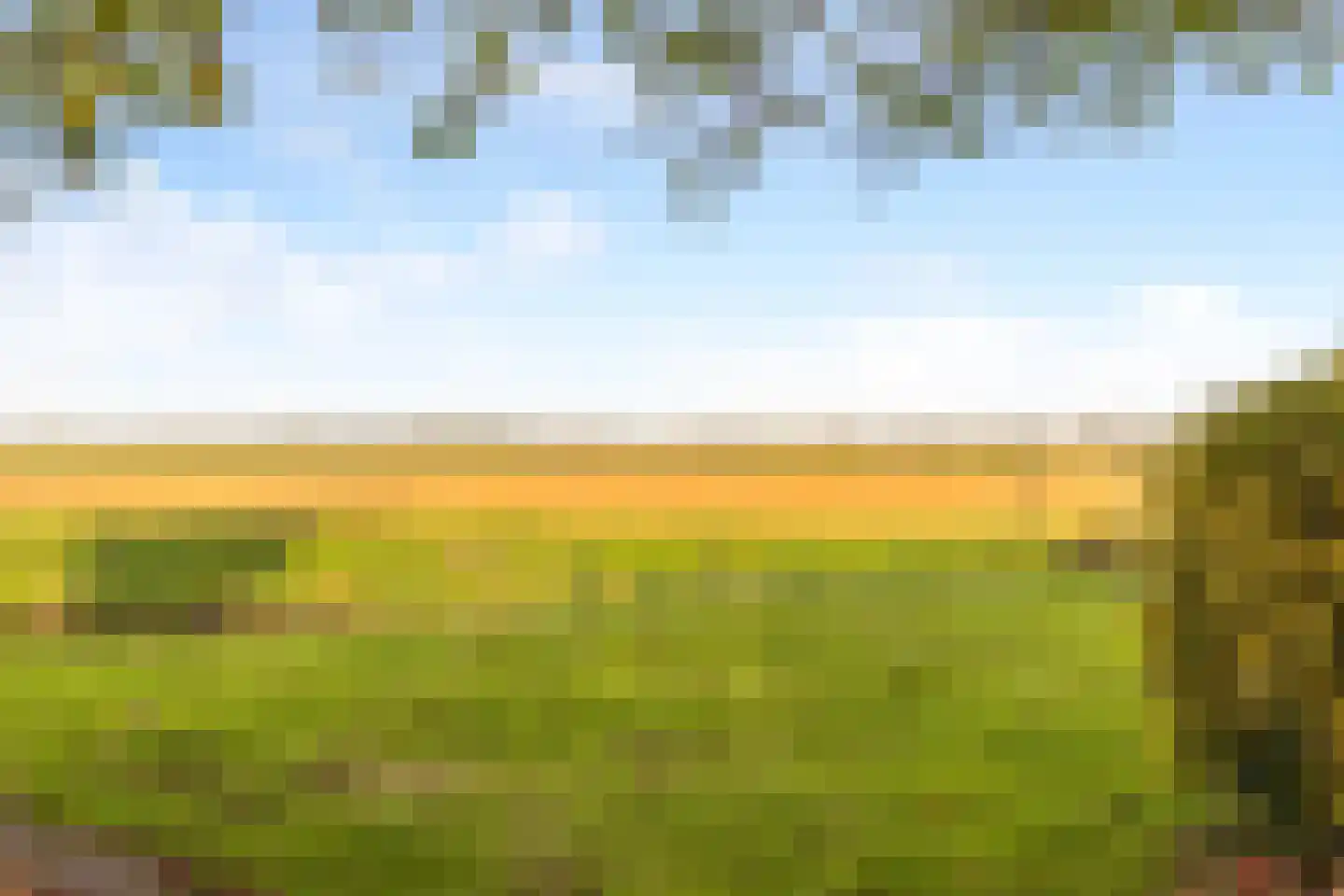 Watermunt 4 Abbekerk thumbnail 40