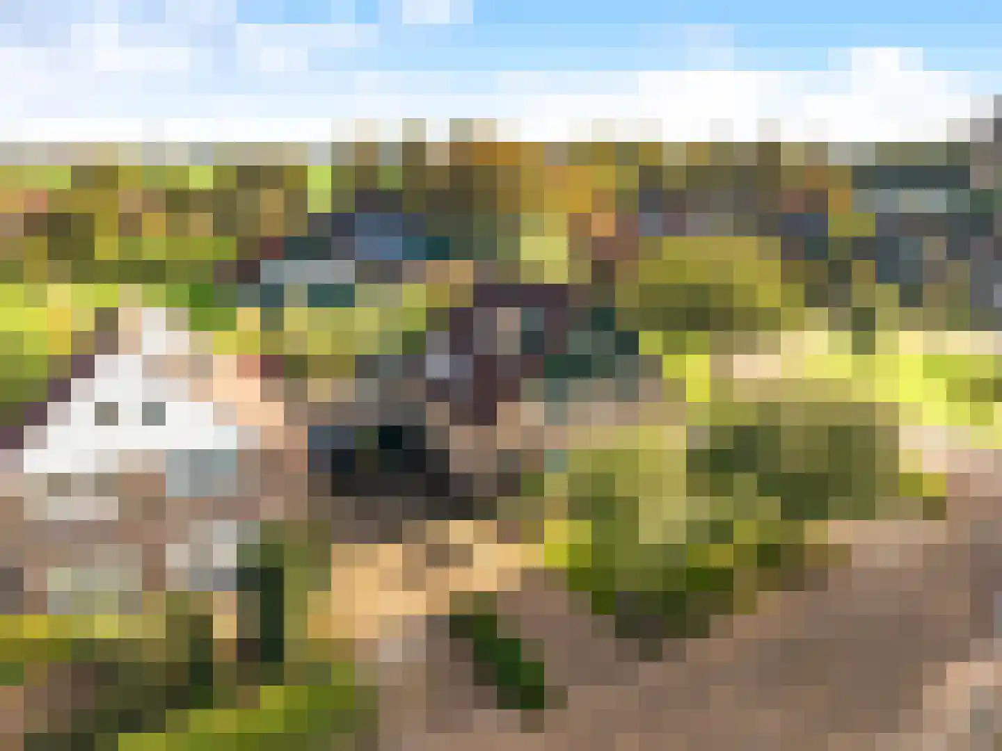 Watermunt 4 Abbekerk thumbnail 41