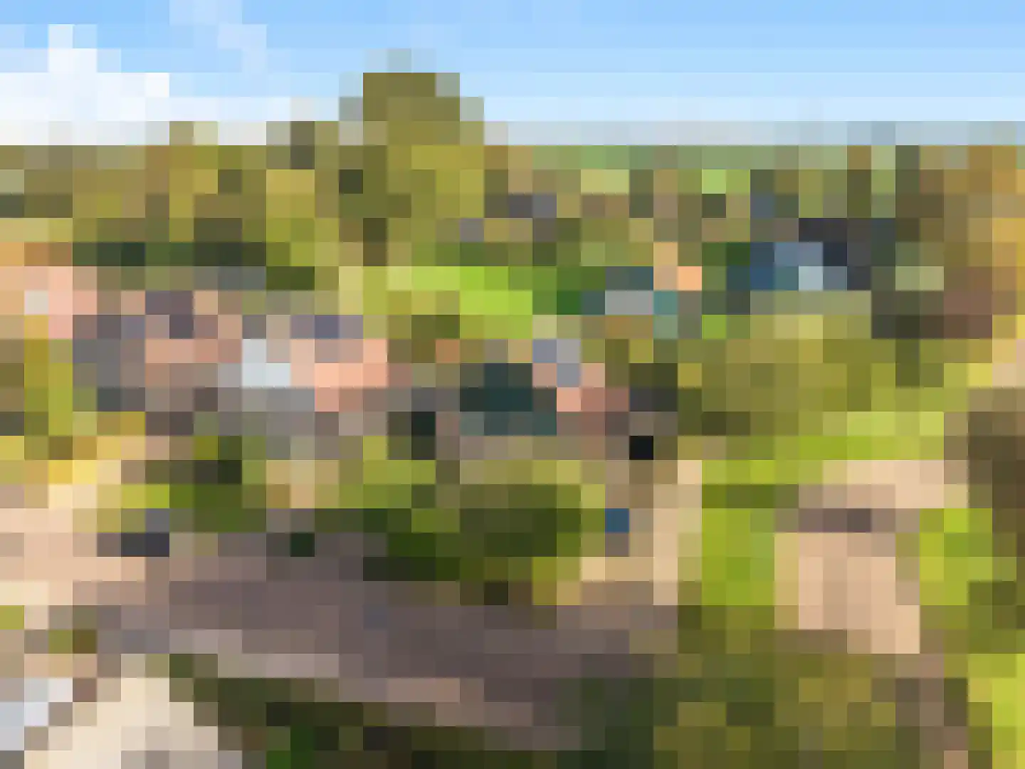 Watermunt 4 Abbekerk thumbnail 42