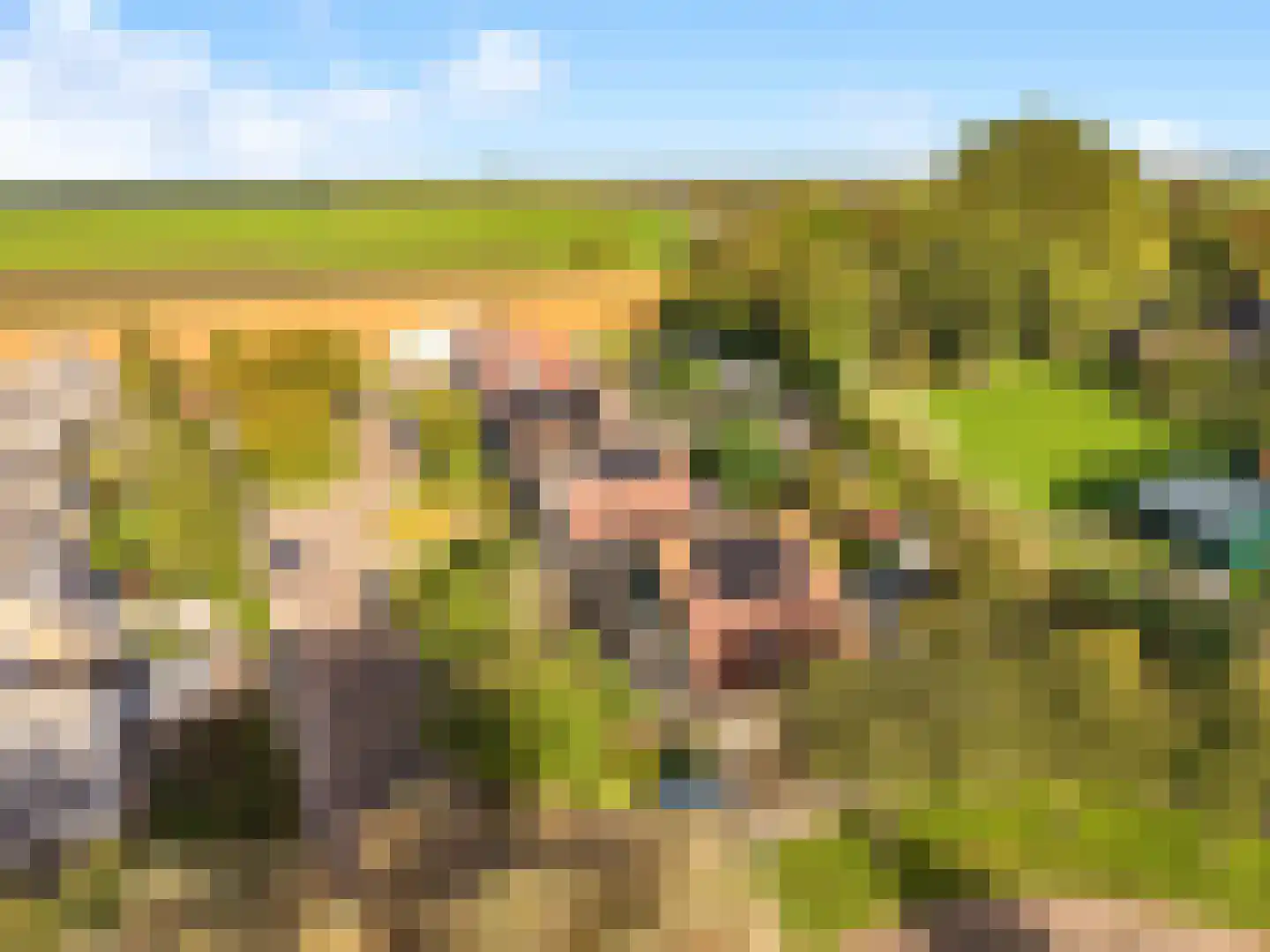Watermunt 4 Abbekerk thumbnail 43