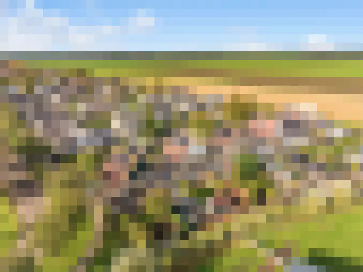 Watermunt 4 Abbekerk thumbnail 44