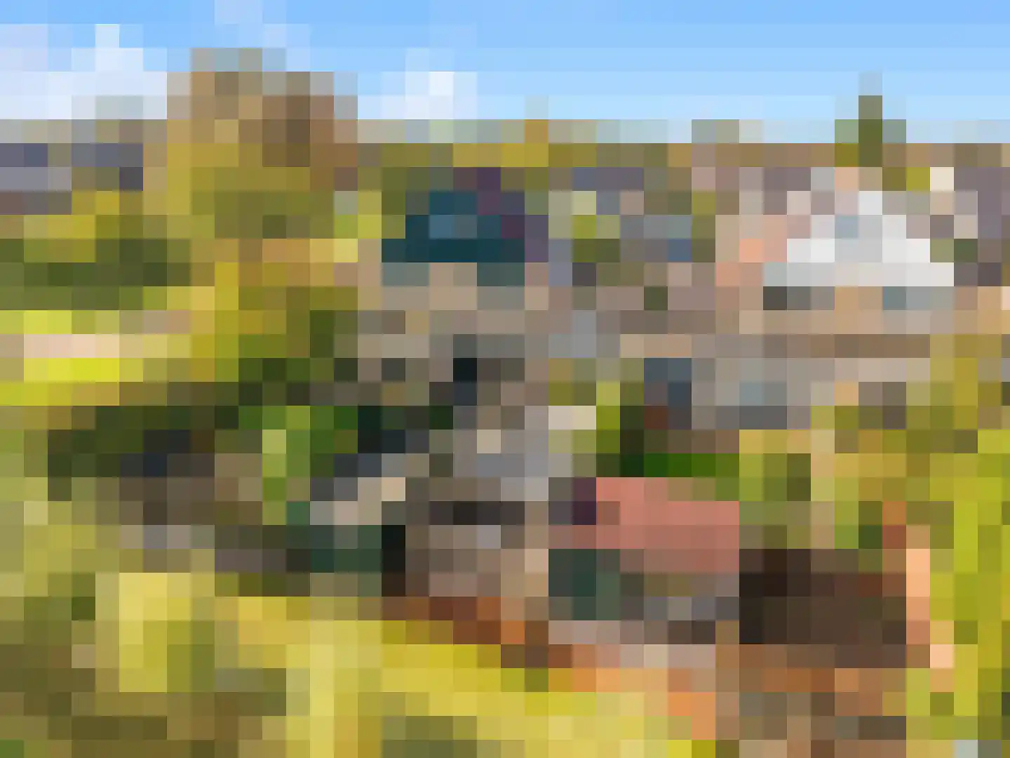 Watermunt 4 Abbekerk thumbnail 45