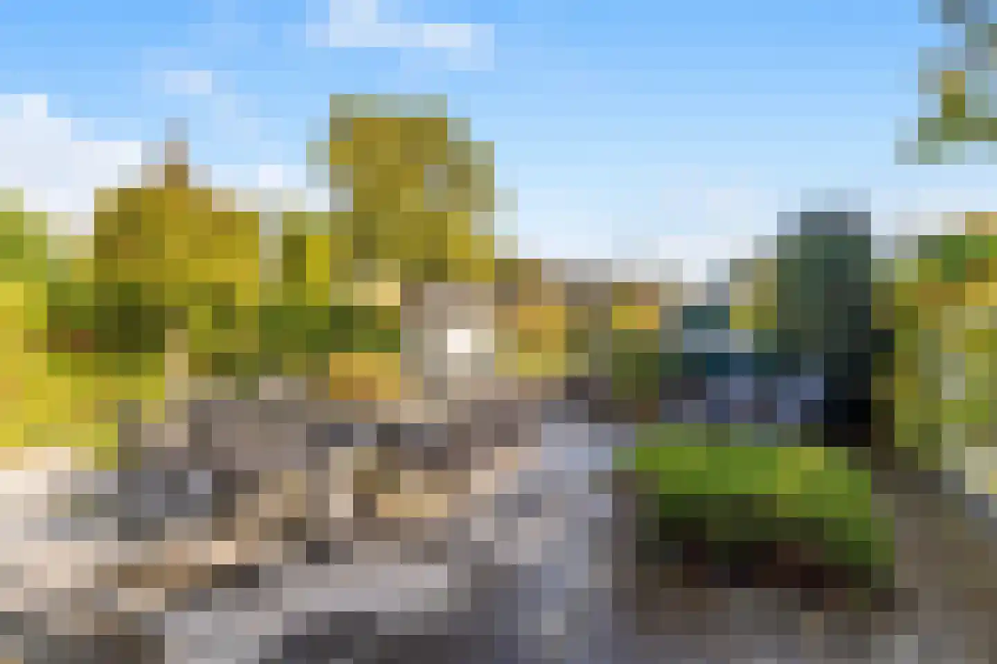 Watermunt 4 Abbekerk thumbnail 46