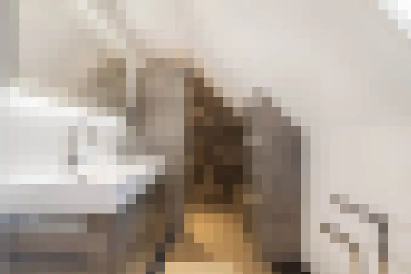 Watermunt 4 Abbekerk thumbnail 5
