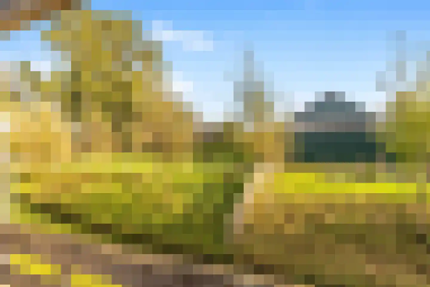 Watermunt 4 Abbekerk thumbnail 50