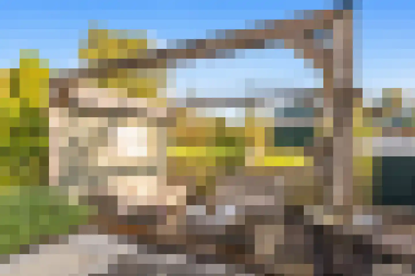 Watermunt 4 Abbekerk thumbnail 7