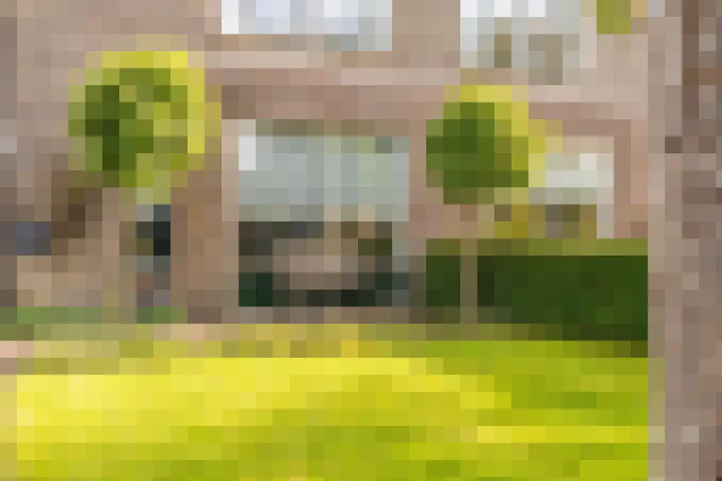 Watermunt 4 Abbekerk thumbnail 8