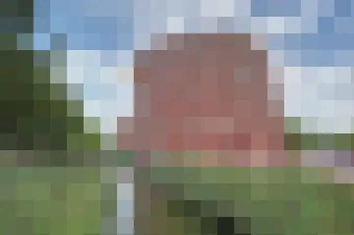 Watermunt 42 Hendrik-Ido-Ambacht thumbnail 32