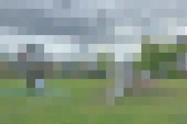 Watermunt 42 Hendrik-Ido-Ambacht thumbnail 33