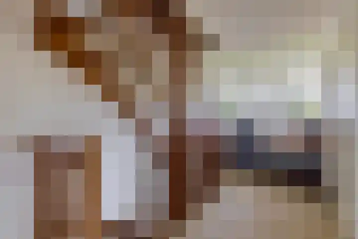 Watermunt 47 Tegelen thumbnail 21